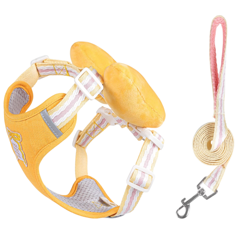 Bow Harness set with Leash