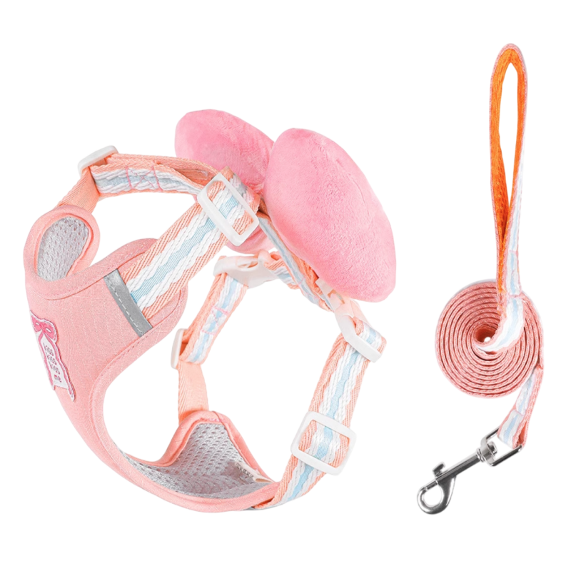 Bow Harness set with Leash