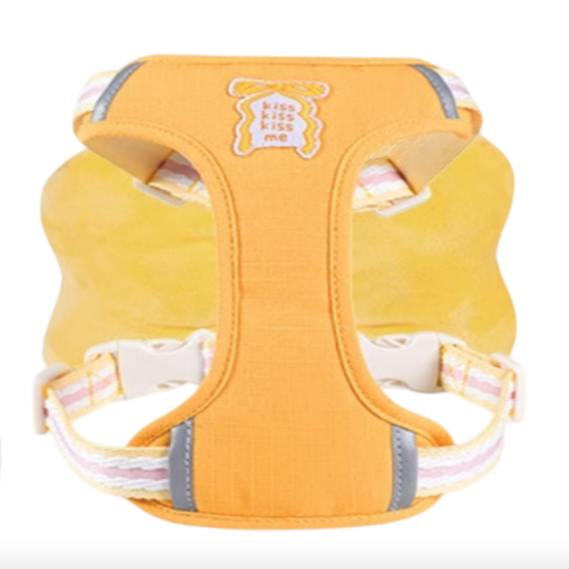 Bow Harness set with Leash