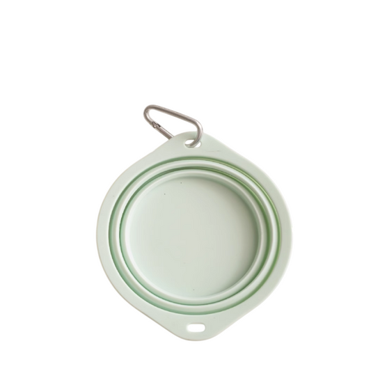 Collapsible Bowl for Travel