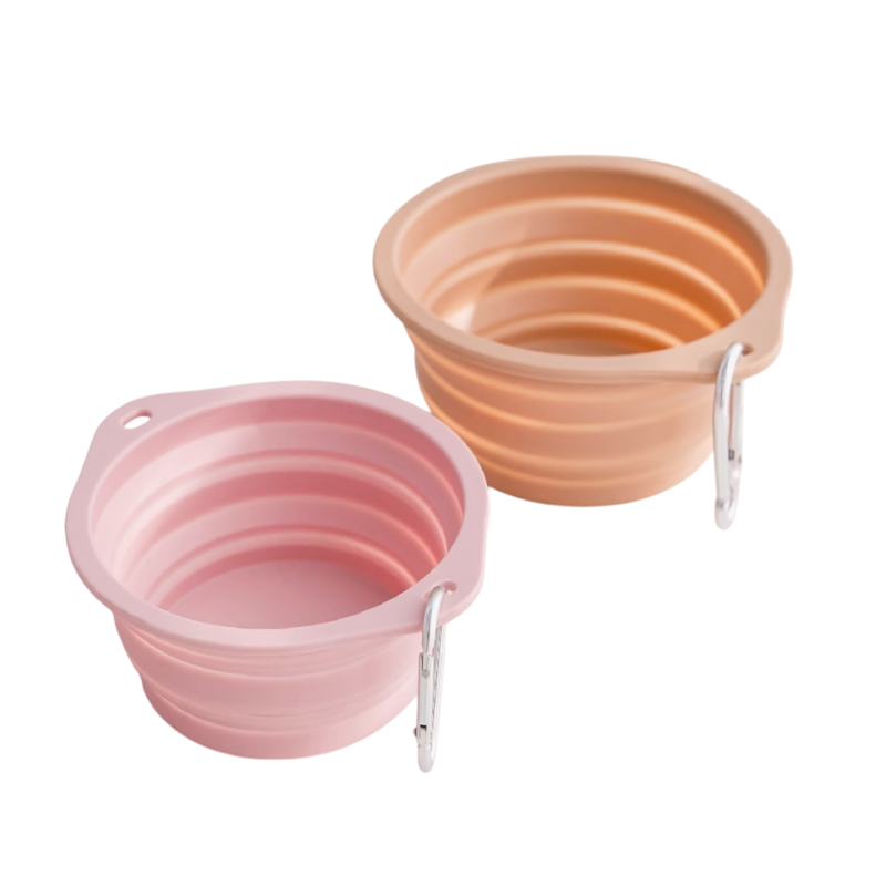 Collapsible Bowl for Travel